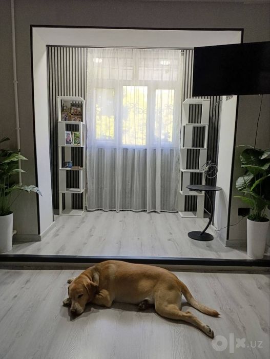 Косметический и капитальный ремонт