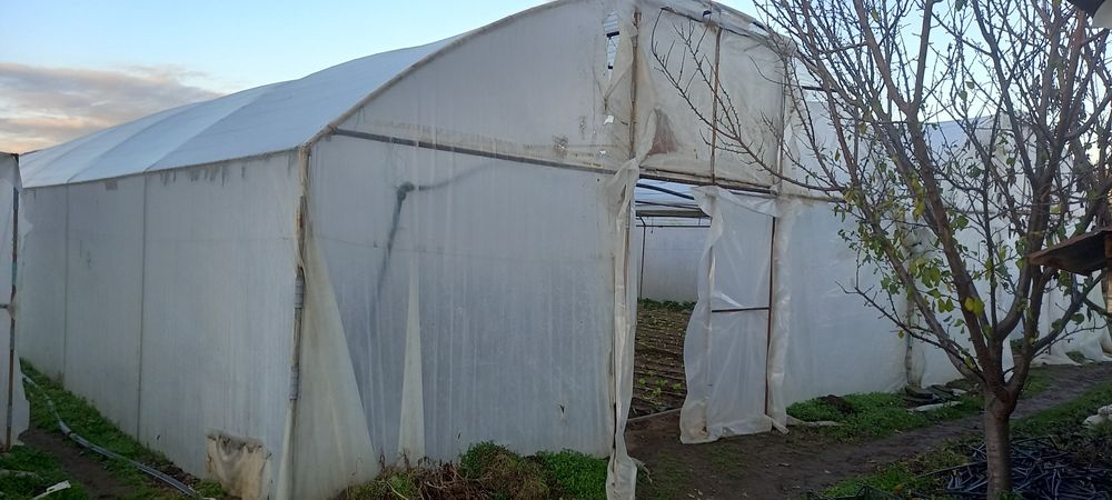 Продавав оранжерия