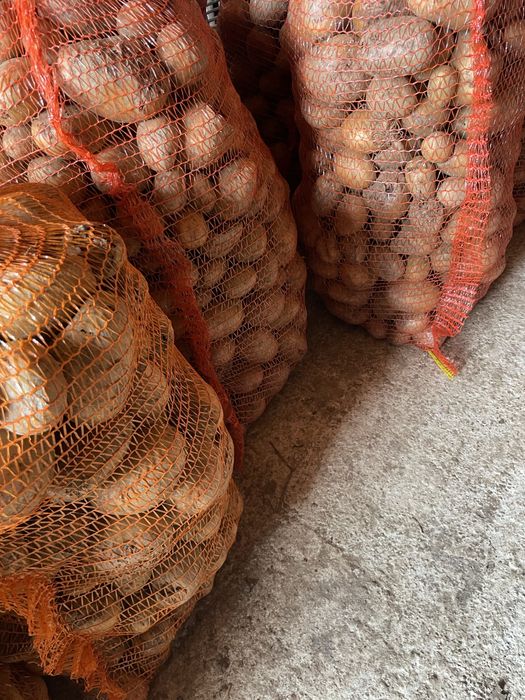 Cartofi pentru animale