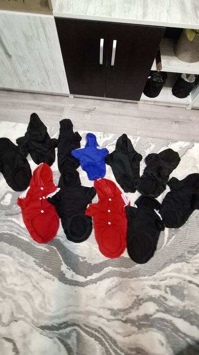 Hăinuțe catei talie mica