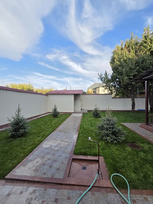 Посадка и обрезка деревьев