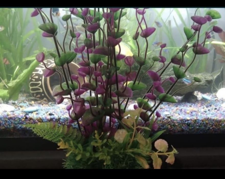 Искусственные растения в акву