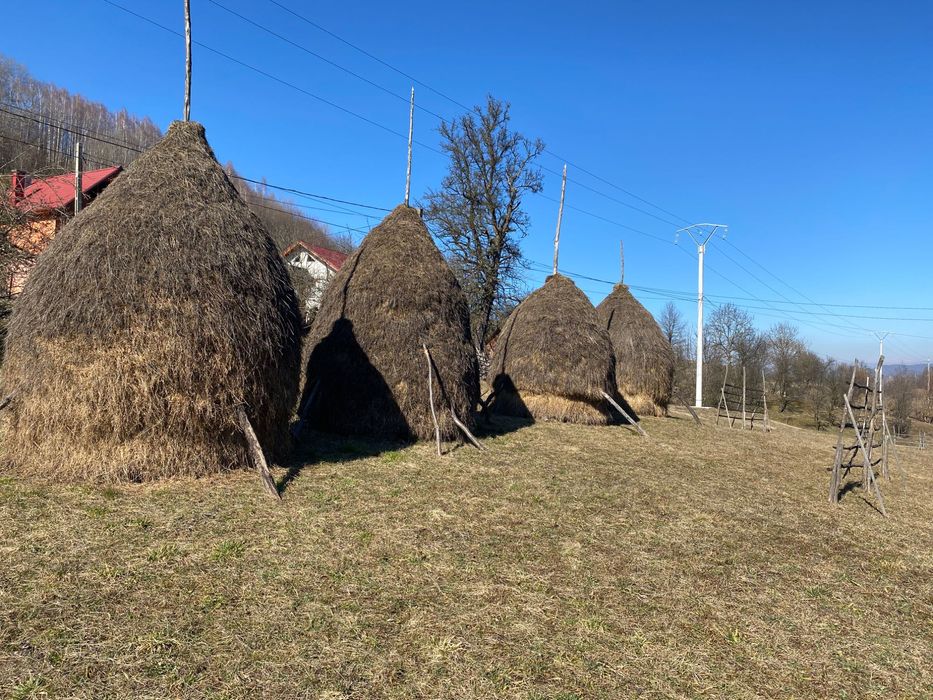 Fîn și otavă de vînzare