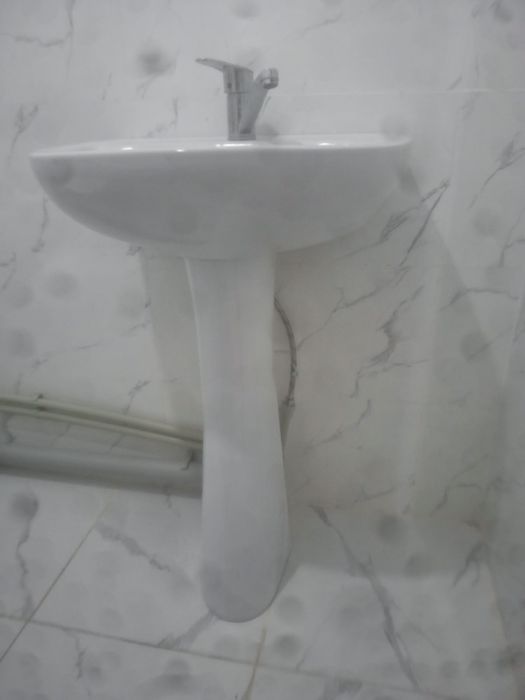 Раковина тюльпан