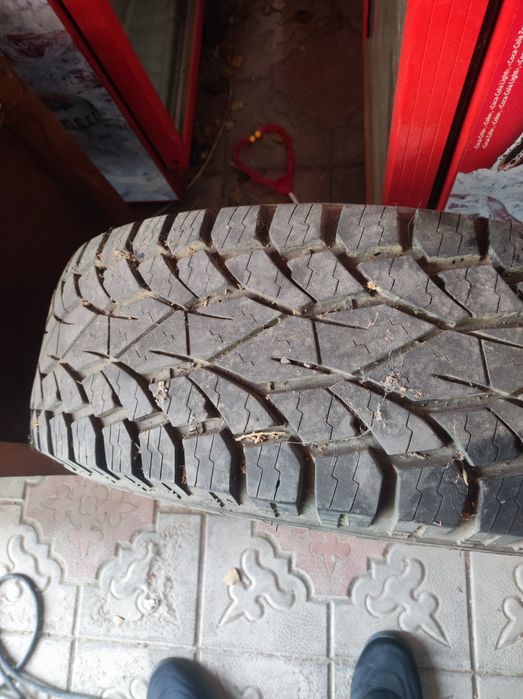 Покрышка две штуки