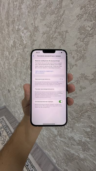 iPhone 13 Pro Max