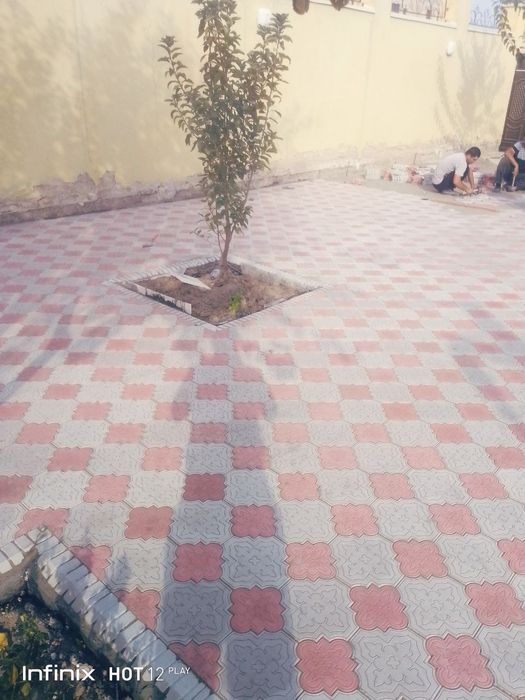 Bruschatkalar arzon narxlarda