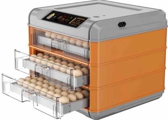 Инкубатор для яиц