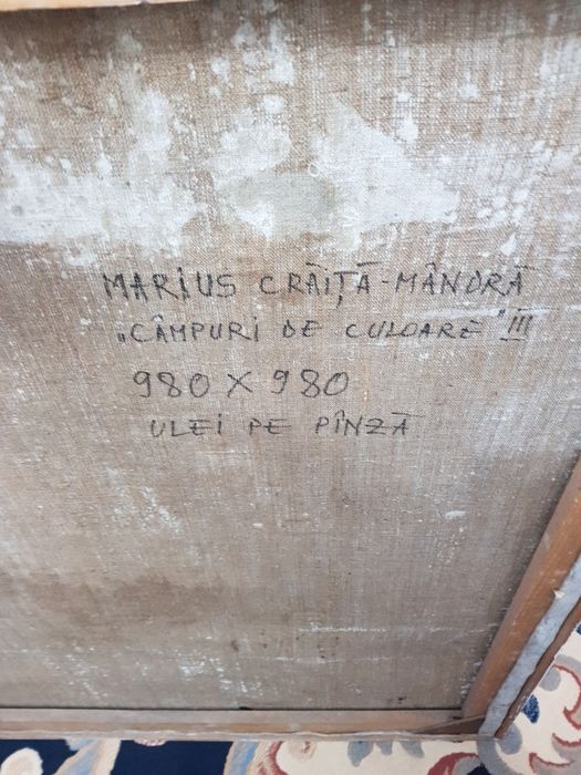 Tablou ulei pe panza MARIUS CRAITA MANDRA