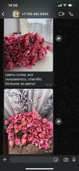 Пионовидные тюльпаны предзаказ