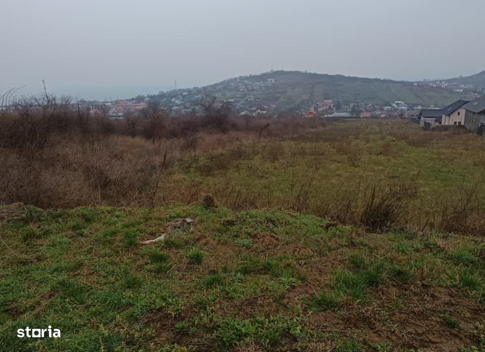Teren intravilan Tomesti , 11000 metri Cod:161403