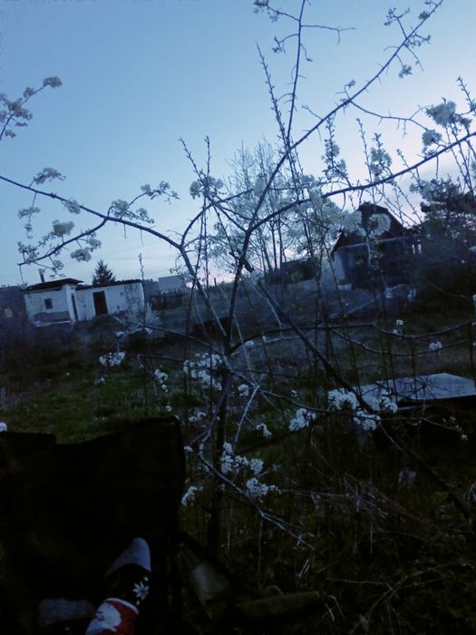 Продам дача в бухтарме.