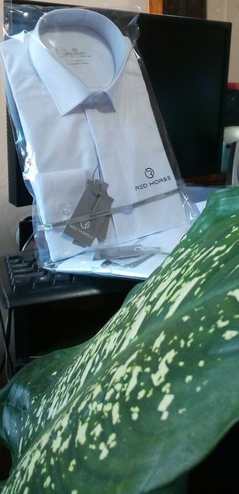 Ок куйне куйлак Янги , Новые белые рубашки ХБ -БК yangi ok kuyne kuyla