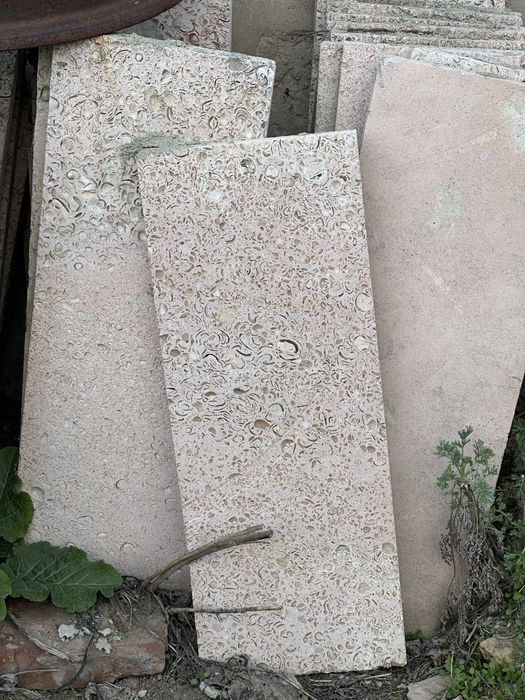 Ракушечная плита