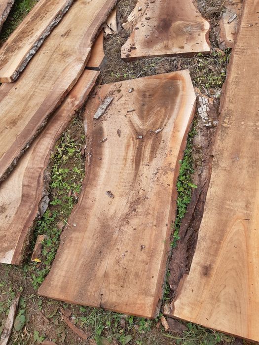 Lemn nuc pentru prelucrare masuta cafea si foastan taiat de nuc 5cm+-