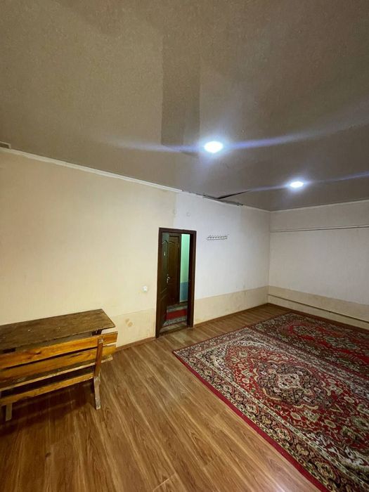 Urdu universitet aldina