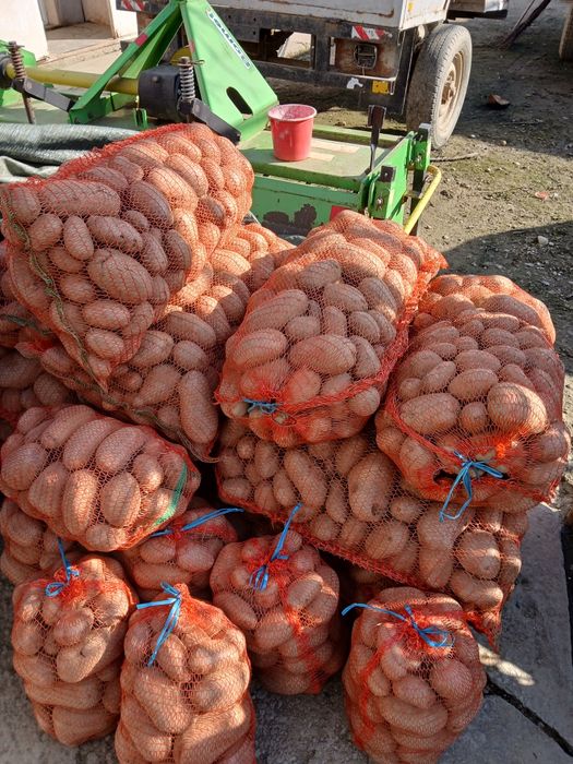 Vând cartofi,lunguletu