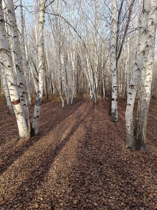 Продам дом в городе.