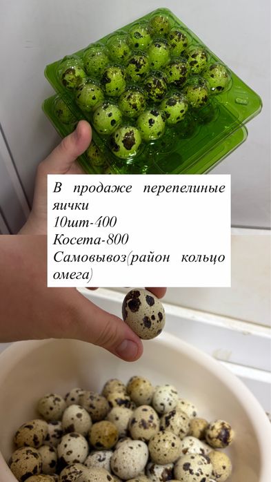 Перепелинные яйца