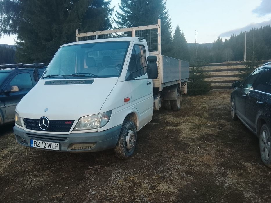 Mercedes Sprinter Basculabilă