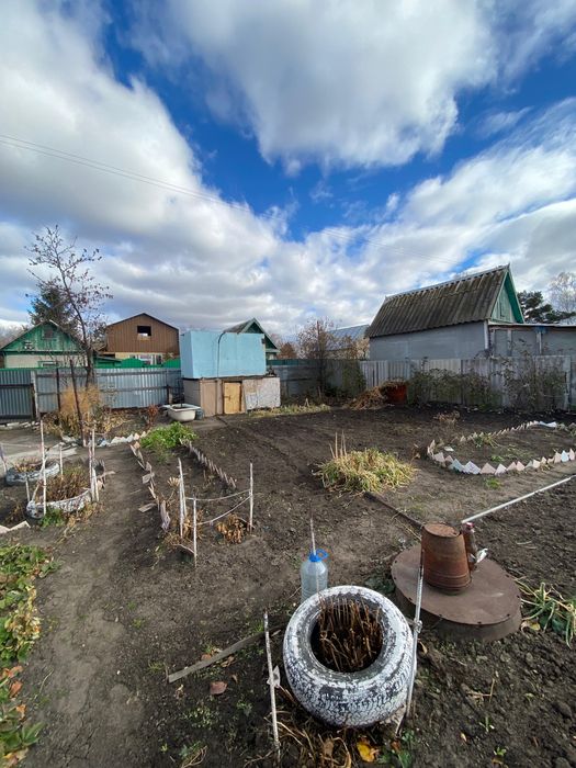 СРОЧНО Продам Дачу, на Белом ,сад.общество Сансевьера