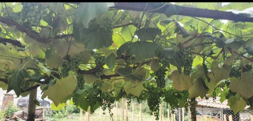 Продава се Къща в Сливен, Клуцохор - 60 кв.м за 425 €/кв.м - Снимка #7