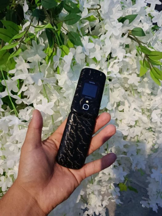 Novey senat                      .