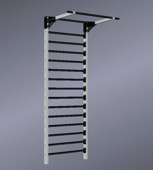 Шведская стенка; турник; брусья; 3в1