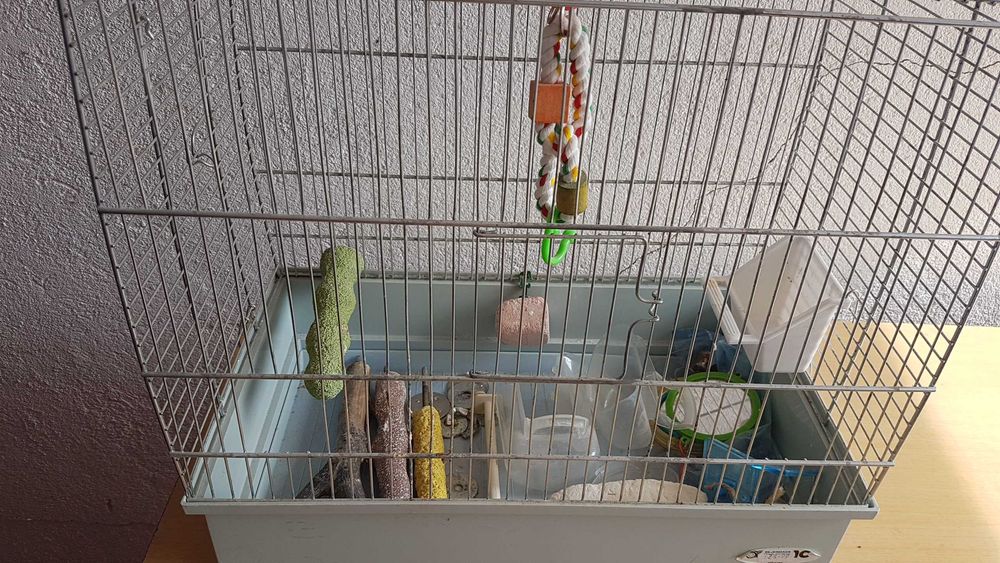 Клетка за гризачи