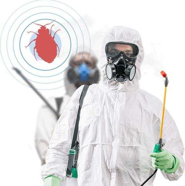 Дезинфекция. Дезинсекция. 100% Гаpантии и Качества.