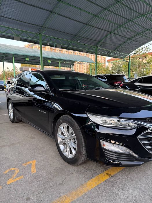 Malibu 2 primer 2022 yil