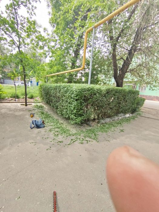 Услуги Садовника