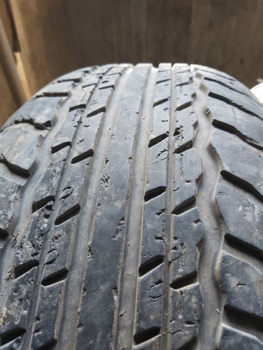 Продам шины летние