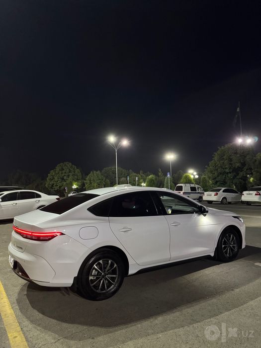 BYD chazor 55km 2 pozitiya