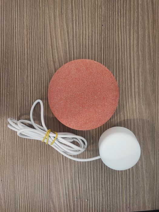 Google home mini