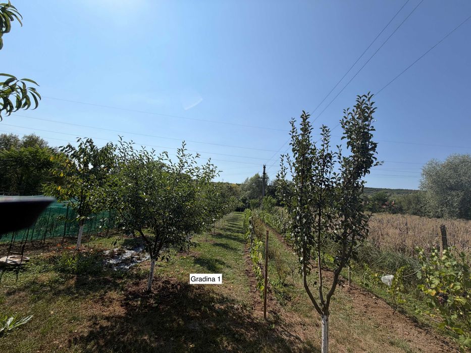 Casă de vânzare în Brebi, Sălaj – 3 camere, 4.746 mp teren, garaj și anexe