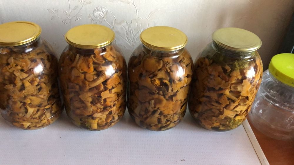 Грибы лисички свежемороженые