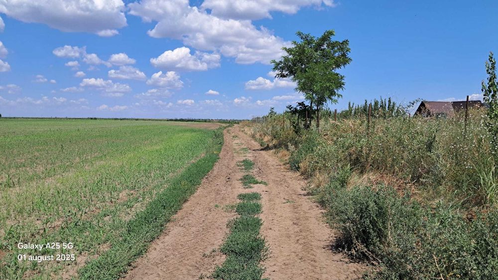 Vand loturi de teren  Extravilan   Sat Costi