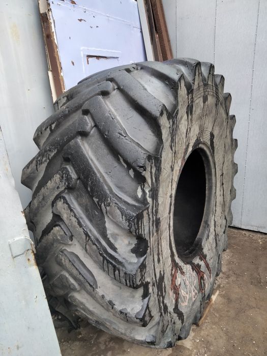 Бассейн из шины Кировца.