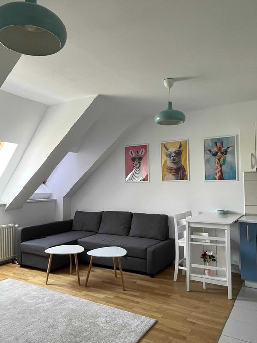 Apartament 2 camere, zona Parcul Carol/Unirii