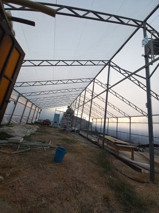 Теплица для выгонки тюльпана