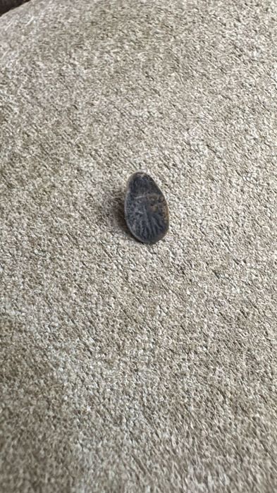 Дезинфекция  от клопов Тараз