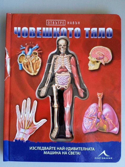 Книга Човешкото тяло