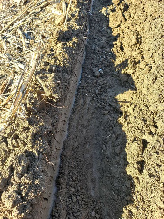 Vând tractor fiat 45