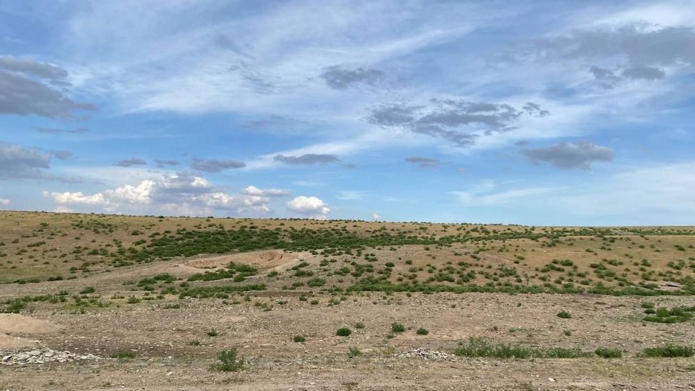 АТАР СРОЧНА Продаётся атар срочна сотилади навоида номер 1