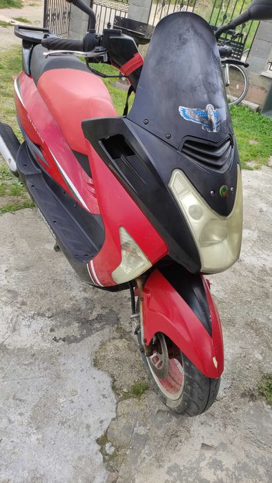 Scuter pegasso 49 4t