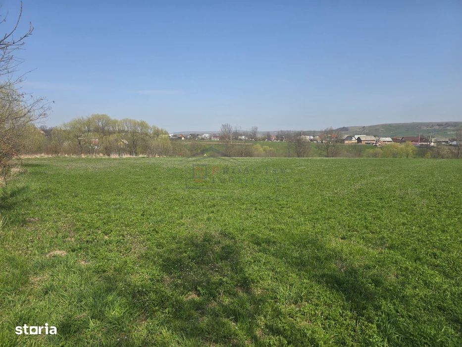 Teren Intravilan 1,5 Ha | Deschidere 180ml | T-7760