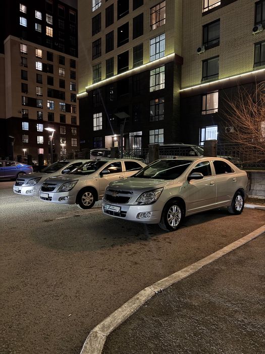 Кобальты в аренду