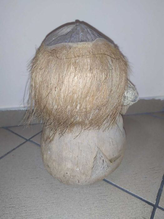 Касичка от кокосов орех