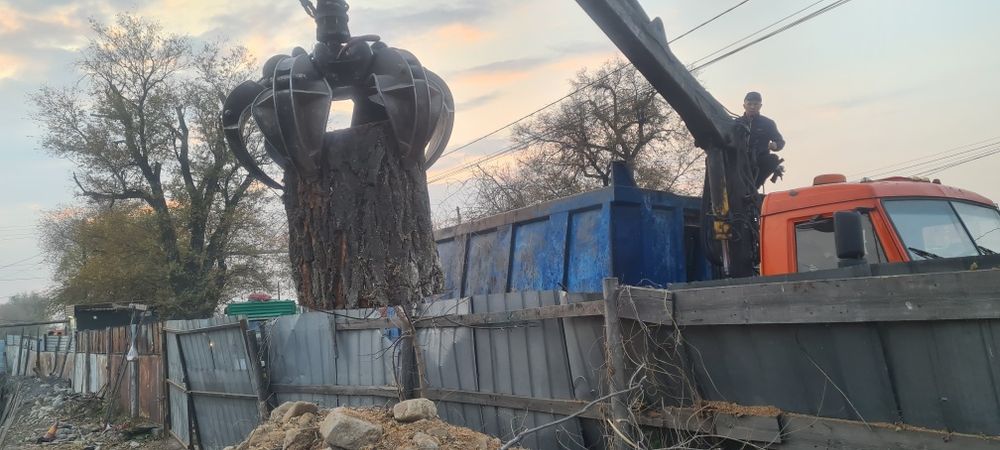 Спил деревьев ағаш кесеміз